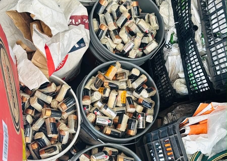 RECOLECTA SECRETARÍA DE MEDIO AMBIENTE PILAS EN DESUSO DURANTE JORNADA “BAJA LAS PILAS”