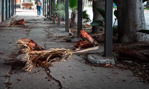 Exhorta XXV Ayuntamiento de Tijuana a extremar precauciones ante la condición Santa Ana en la región