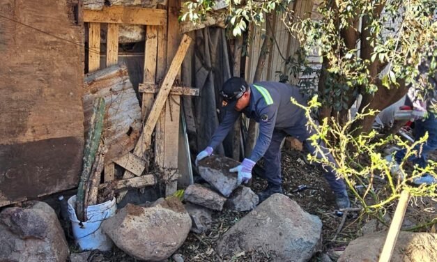 Continúa Gobierno Municipal realizando jornadas intensivas de limpieza en distintas colonias de la ciudad