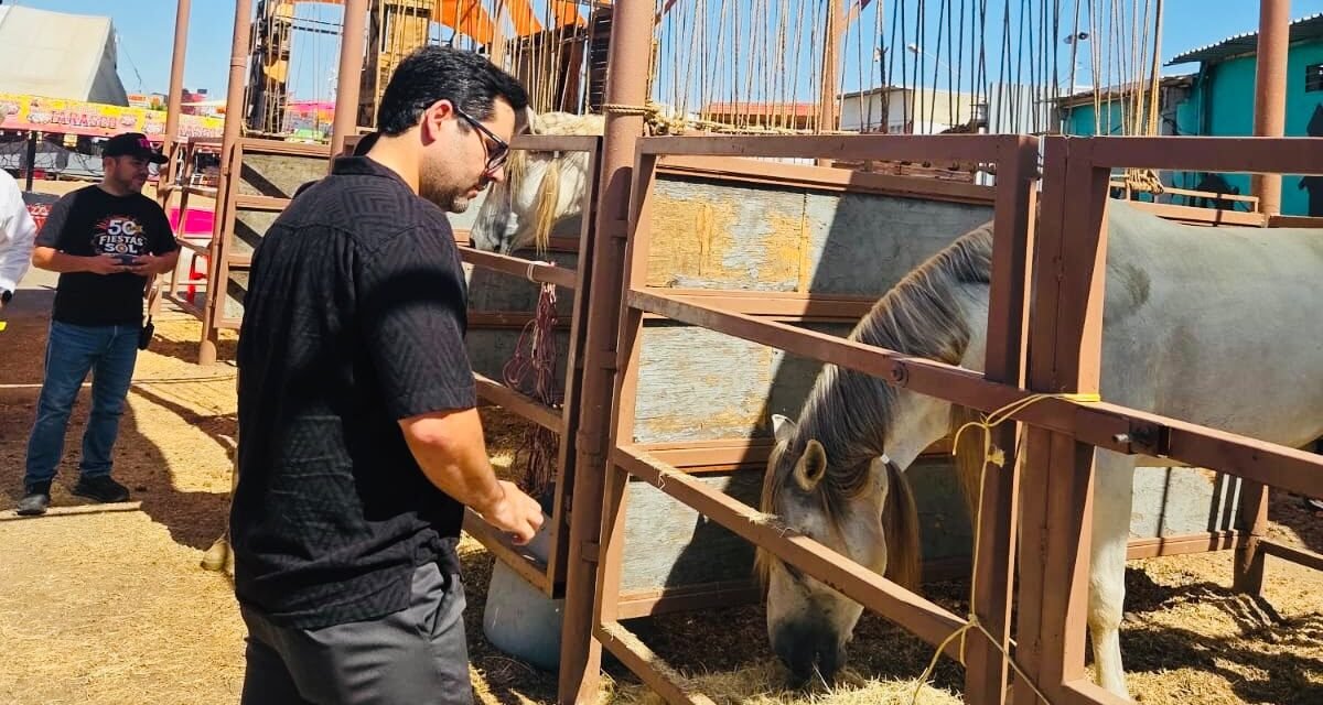 SECRETARÍA DE MEDIO AMBIENTE Y FIESTAS DEL SOL COLABORAN EN FORTALECIMIENTO DE PROTOCOLOS DE BIENESTAR ANIMAL