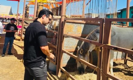 SECRETARÍA DE MEDIO AMBIENTE Y FIESTAS DEL SOL COLABORAN EN FORTALECIMIENTO DE PROTOCOLOS DE BIENESTAR ANIMAL