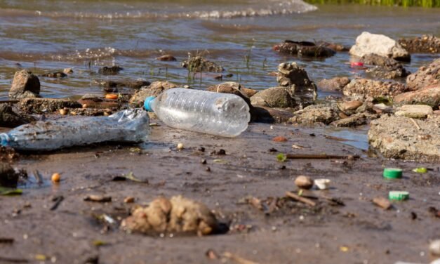 EXHORTA SECRETARÍA DE MEDIO AMBIENTE A MANTENER ESPACIOS LIBRES DE BASURA PARA PREVENIR INUNDACIONES
