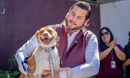Impulsa gobierno de Ismael Burgueño Ruiz acciones para el bienestar y protección de los animales